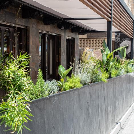 detalle de vegetación en diseño de terraza para restaurante Meson de la Costa realizado por Ideade Creativos