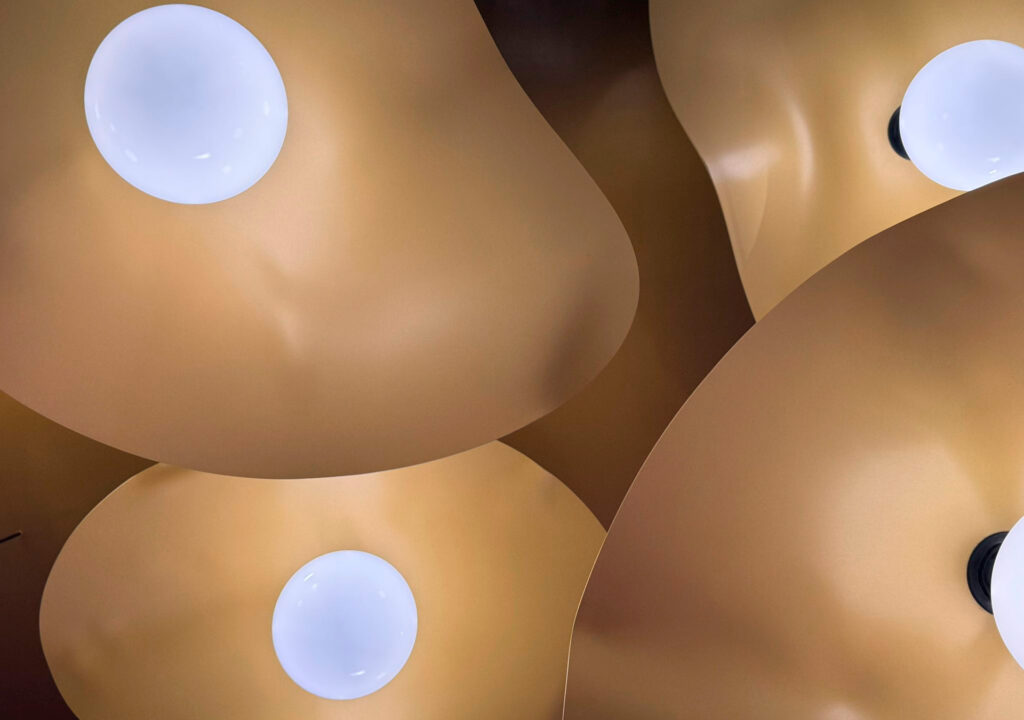 WhatsApp Image 2026-03-30 at 2.49.56 PM (4)