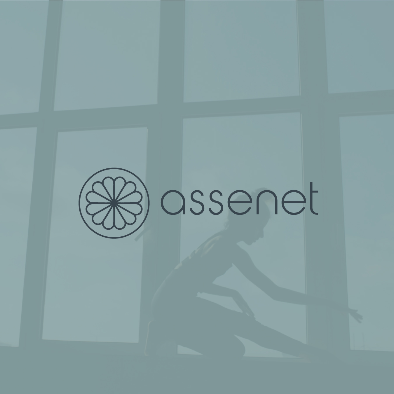 branding-assenet-diseño-online-3