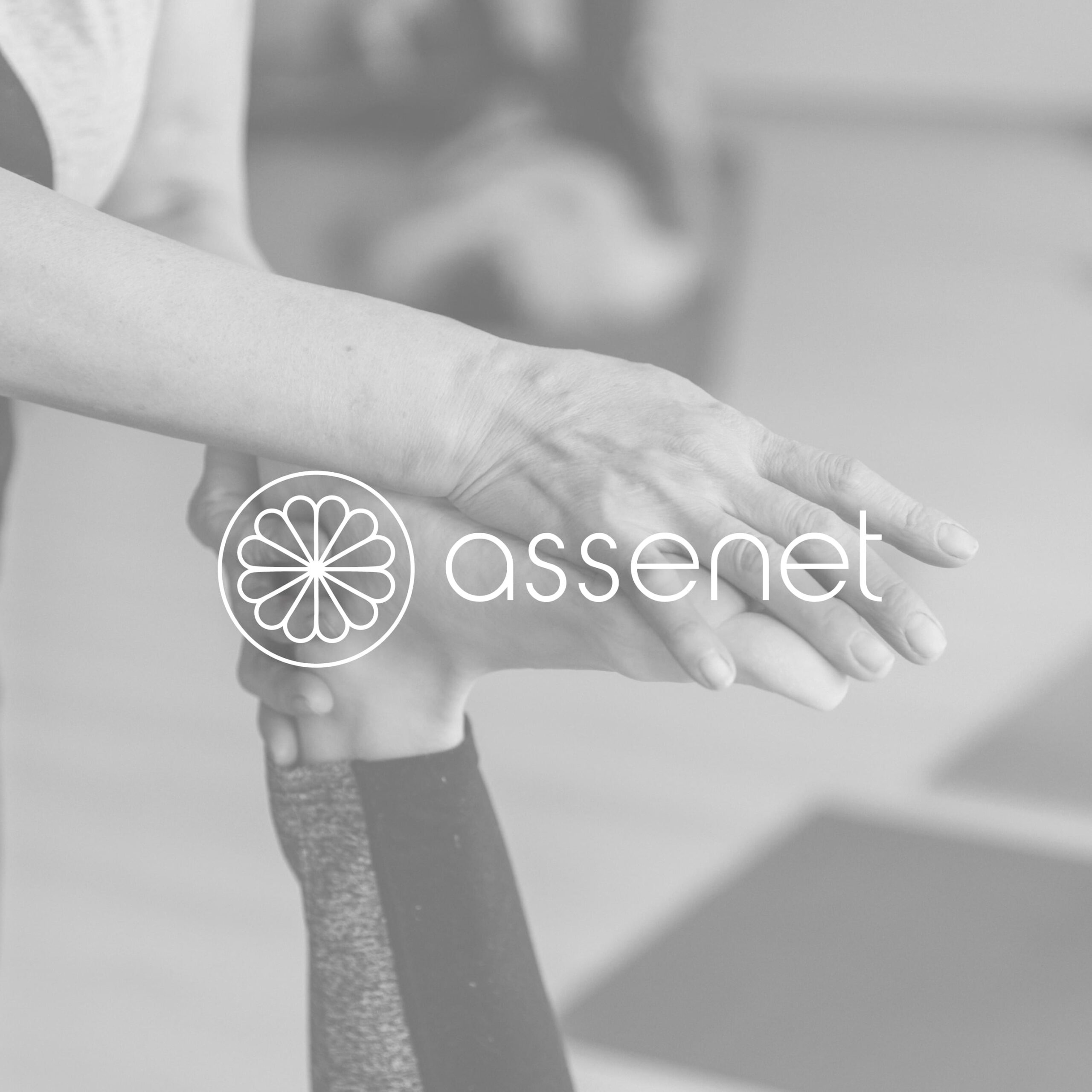 branding-assenet-diseño-online-4